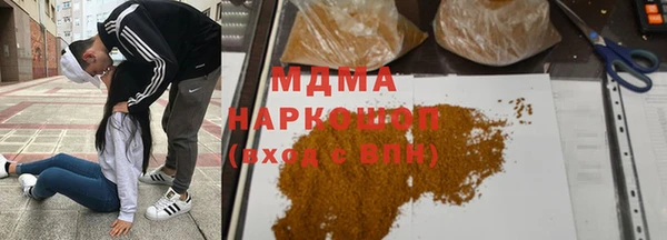 прущие грибы Бабаево