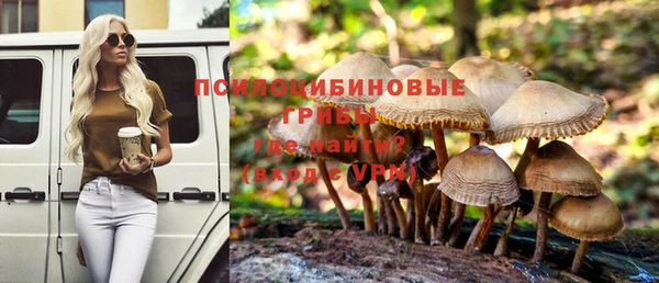 прущий лед Надым